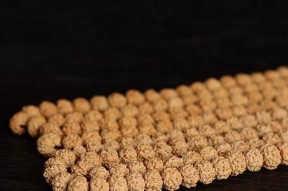 金刚菩提子怎么清理干净？有效方法有哪些？