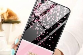 解决VivoX9Plus耗电快的方法（有效延长VivoX9Plus电池续航时间的小窍门）