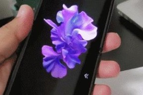 免费换动态壁纸的软件推荐（为你的设备注入新鲜活力）