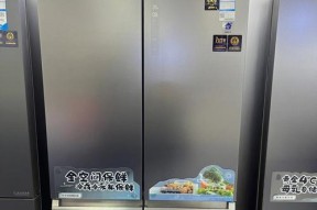 海尔冰箱E0显示原因解析（为什么海尔冰箱出现E0显示）