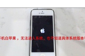 解决苹果手机无法开机显示白苹果问题的有效方法（白苹果问题的原因及解决方案）