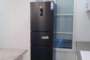 小天鹅冰箱E6故障解析及维修指南（了解E6故障类型）