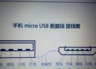 帕姆尼电脑上网设置步骤是什么？遇到问题如何解决？