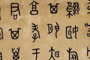 探讨适合所有辅助的铭文选择（提升辅助效果）