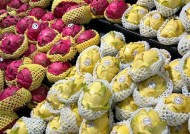 火龙果种子种植方法有哪些？步骤和注意事项是什么？