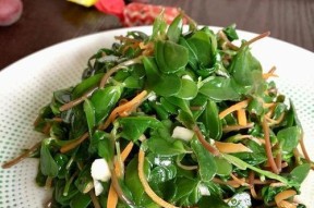 马齿苋怎么吃才美味？有哪些创意食谱推荐？