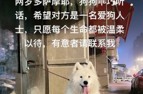 小萨摩耶不听话怎么办？训练听话的有效方法是什么？