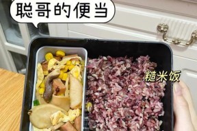 冰箱坏了怎么保存便当肉（保持食品安全的小窍门）