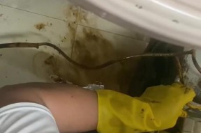清洗油烟机的小地摊技巧（轻松解决油烟机清洗难题）