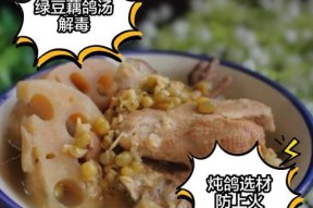 夏天怎么炖鸽子汤好喝？有哪些秘诀和步骤？
