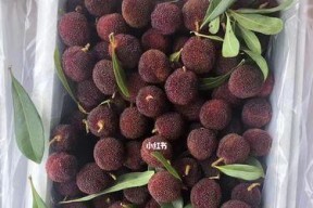 清洗杨梅的正确方法（保证沈阳饮水机的使用安全和品质）