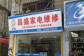 林内壁挂炉不启动的维修方法（以林内壁挂炉不启动的分类维修步骤）