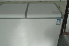 冰柜底下漏油的解决方法（掌握清理技巧）