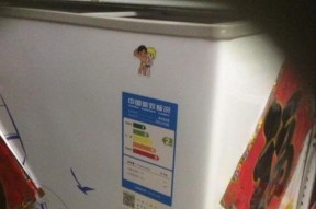 冰柜两边流水的原因与解决办法（探讨冰柜两边流水的成因及有效解决方法）