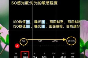 苹果手机拍照时屏幕闪烁如何解决？