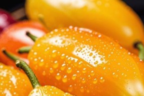 抗衰老的食物有哪些水果？这些水果如何帮助延缓衰老？