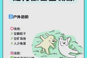 狗狗训练技巧：如何训练狗狗变得听话？