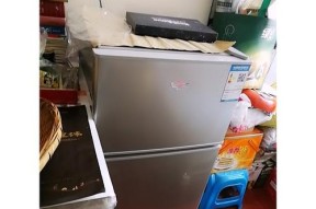 如何正确使用新飞冰柜进行冷藏处理（以新飞冰柜冷藏怎么处理的方法及技巧）