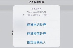如何在iPhone上进行中文设置（快速轻松地将iPhone设置为中文环境）