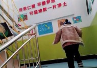 智趣萌生游戏机操作方法是什么？