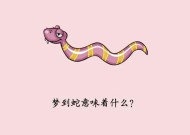 梦见电视机被盗预示着什么？这种梦境有何含义？