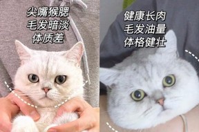 天生营养不良怎么办？如何通过饮食和生活方式改善？