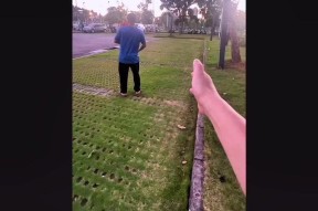 电脑剪映特效声音怎么加？如何添加背景音乐？