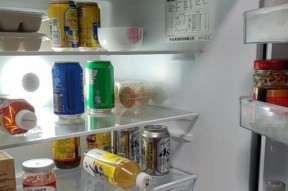 冰箱保鲜的副作用及应对之策（保持食品新鲜的关键措施）