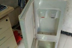 如何正确清理白钢饮水机（让您的饮水机保持安全干净）