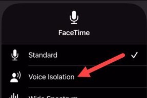 苹果手机Facetime无法使用的原因及解决方法（探究Facetime无法正常使用的可能原因，为用户提供有效解决方案）