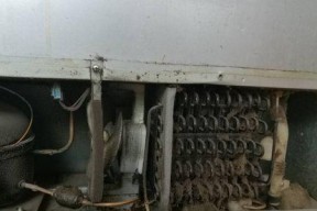 冰柜灯亮不制冷故障解决方法（探究冰柜灯亮但无冷的原因与解决方案）