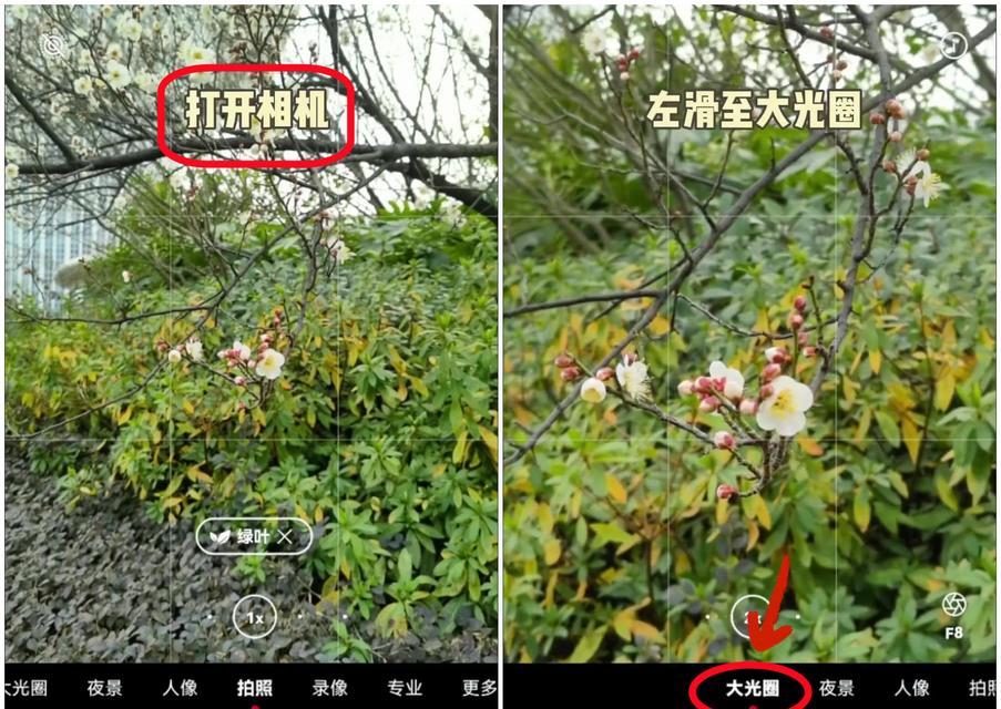 手机拍照模糊处理方法（轻松修复手机拍摄模糊照片的技巧与窍门）  第1张