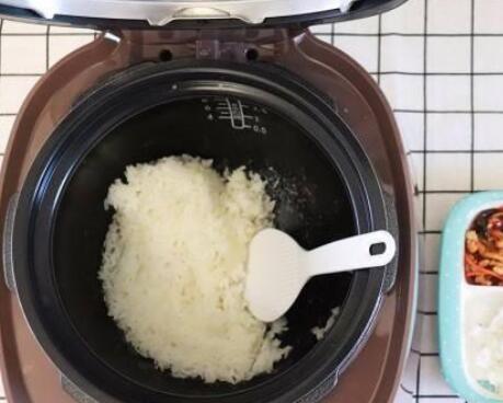 解决IH电饭煲跳闸故障的方法（如何避免IH电饭煲跳闸故障）  第2张