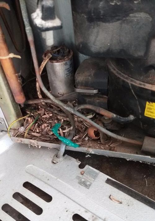 冰箱起动导致跳闸的原因及解决方法（冰箱电流过大引发跳闸问题分析与解决）  第2张