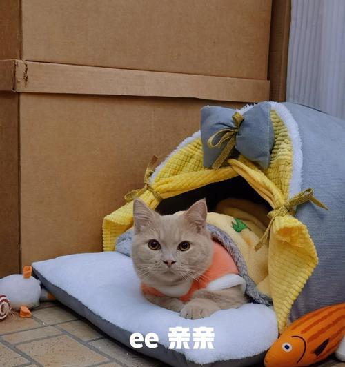 富士通空调开机显示EE原因和处理方法（了解富士通空调显示EE的原因以及如何处理）  第2张