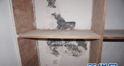 家里地暖漏水怎么办（一场漏水危机）  第3张