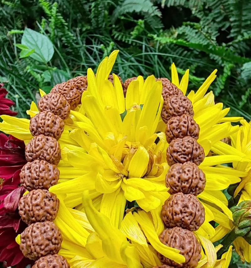 金刚菩提子怎么清理干净？有效方法有哪些？  第2张