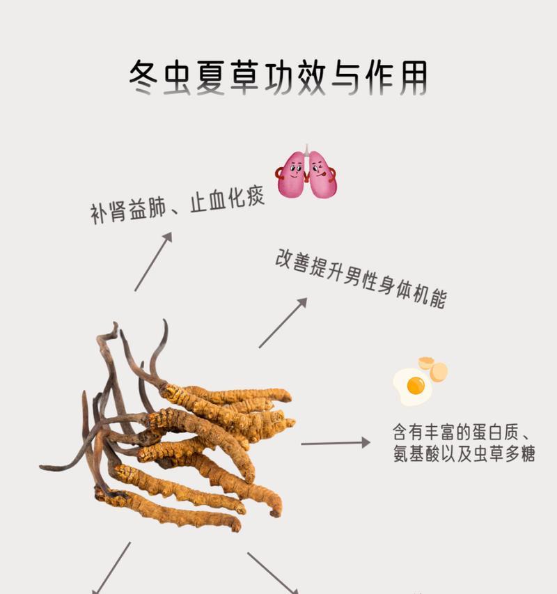 冬虫夏草真假鉴别方法是什么？如何确保购买到真品？  第1张