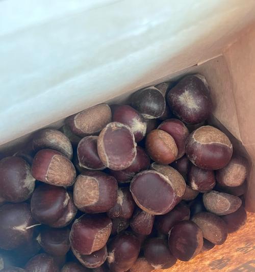 栗子怎么保存最好？延长新鲜度的秘诀是什么？  第1张