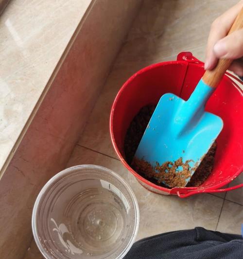 火龙果种子种植方法有哪些？步骤和注意事项是什么？  第2张