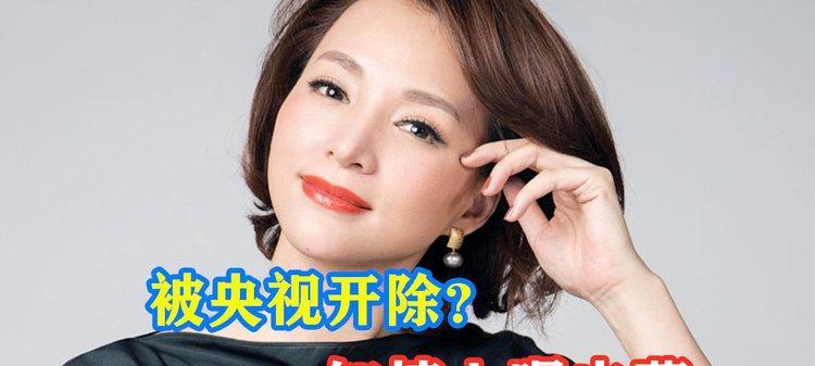 董卿被央视解雇的原因是什么？背后有哪些不为人知的故事？  第2张