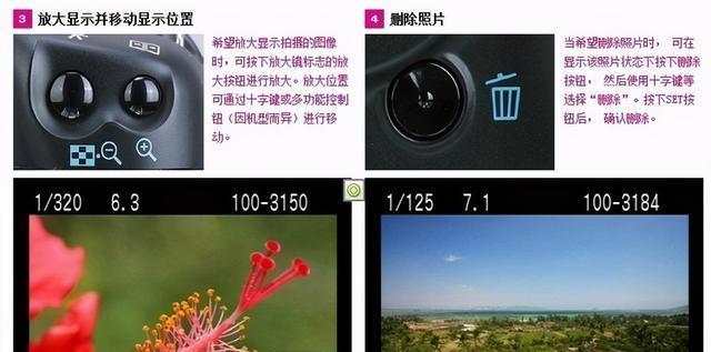 如何使用单反相机拍照？初学者必看的拍照技巧和常见问题解答？  第2张