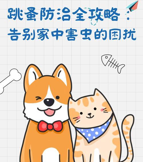 宠物跳骚怎么彻底清除掉？有效方法和预防措施是什么？  第3张