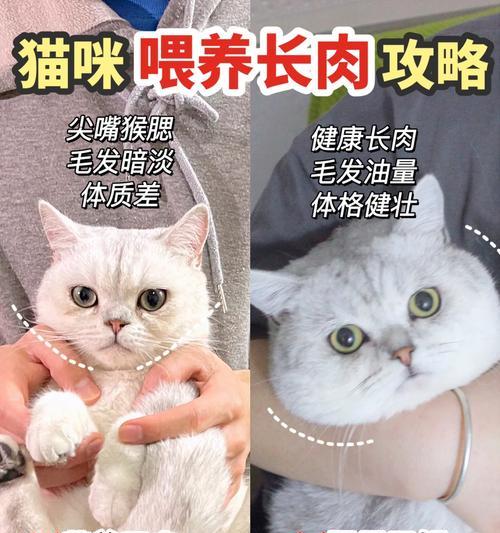 天生营养不良怎么办？如何通过饮食和生活方式改善？  第1张