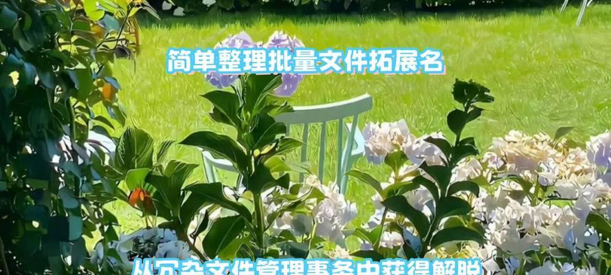 常用文件扩展名有哪些？如何识别和管理不同类型的文件？  第2张