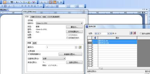 批量打印pdf文件时遇到问题怎么办？有效解决方法是什么？  第1张