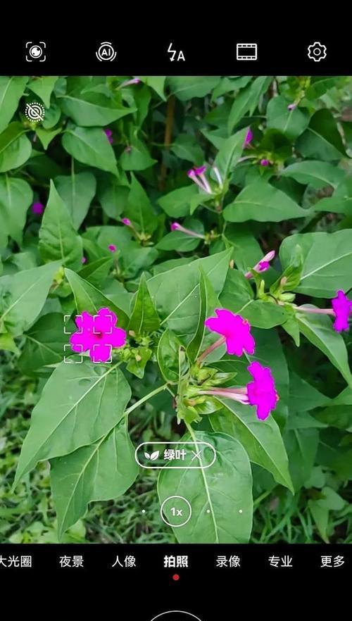 摄像机寄生人用手机拍照的步骤是什么？  第3张