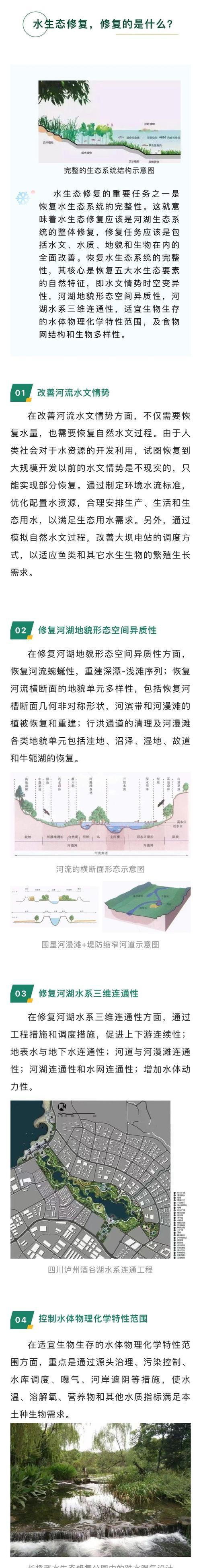 生态水的定义及其好处是什么？  第3张