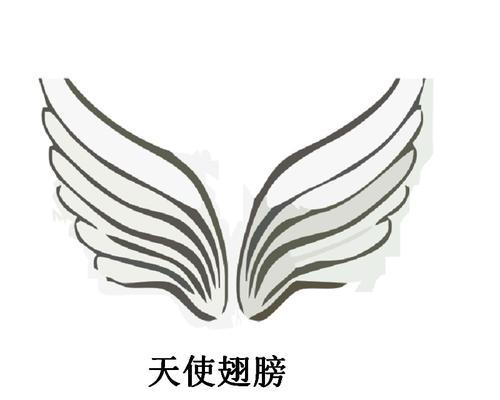 天使充电器支持的最大快充功率是多少？  第2张