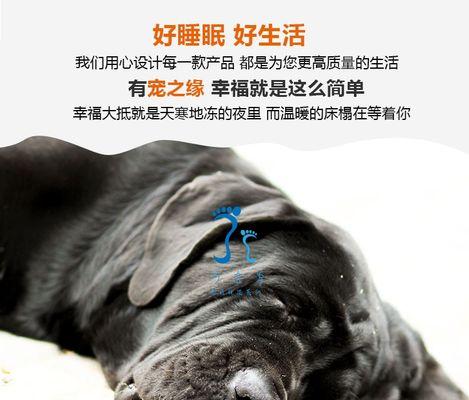 狗狗恒温充电器图解步骤详细吗？  第1张